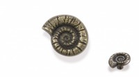 Ручка - грибок ракушка FB 043000 Старая бронза (50 шт.) (морская коллекция)