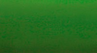 Кант Врезной Зеленый               cl 120   (200 м/п)