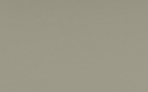  EVOGLOSS 18х1220х2800 P003 Темно-серый (матовый)   (728)